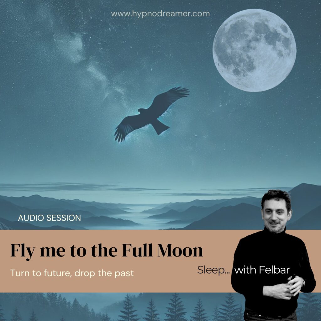 Fly me to the Full Moon